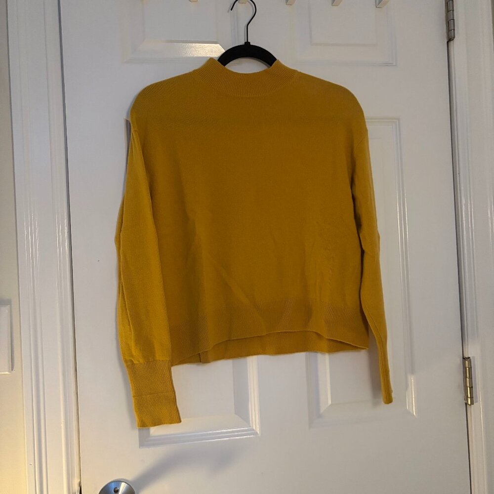 Everlane - cashmere mock turtleneck sweater